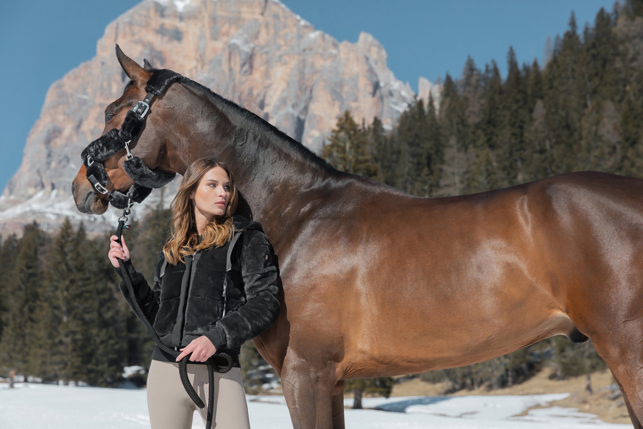 Gorgeous Things Equestrian Denim Jacket